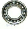 BEARING (REC93306-209U1)