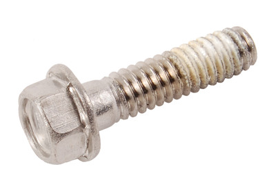 Screw by BRP (328725)