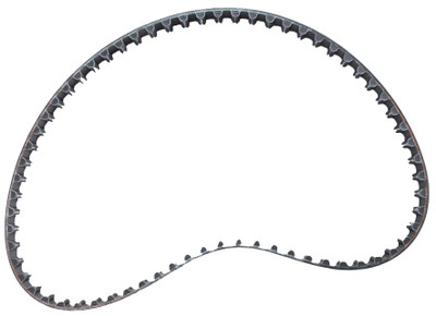 Belt, Timing by BRP (441093)