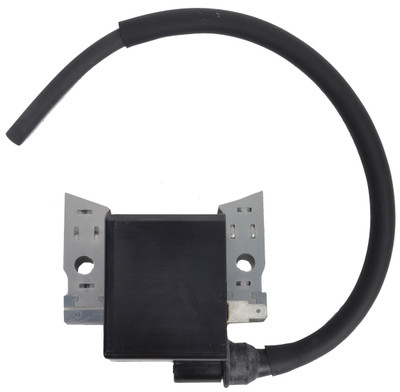 Unit Comp, Igniter by BRP (5036267)