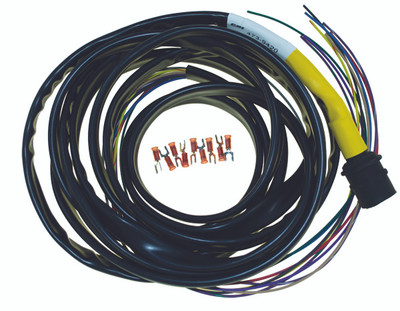 Evinrude, Johnson and Gale Outboard Motors ROUND YELLOW BOATSIDE (473-9420)