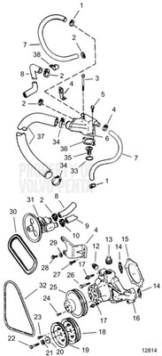Hose by Volvo Penta (3855114)