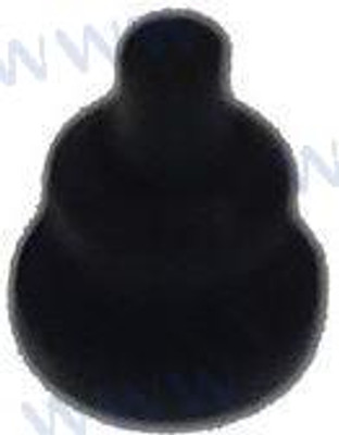 PLUG (PAF20-05000036)