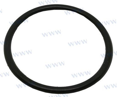 O-RING (PAF25-01000005L)