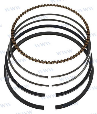 PISTON RING  ASSY (PAF6-04020002) PISTON RING  ASSY (PAF6-04020002)