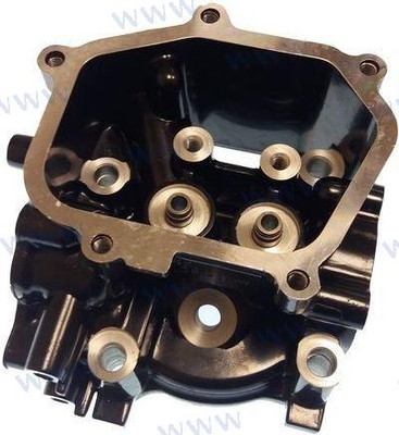 CYLINDER HEAD ASSY (PAF6-04050100)
