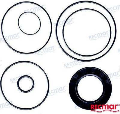 DRIVES U-JOINT SEAL KIT (REC22151) DRIVES U-JOINT SEAL KIT (REC22151)