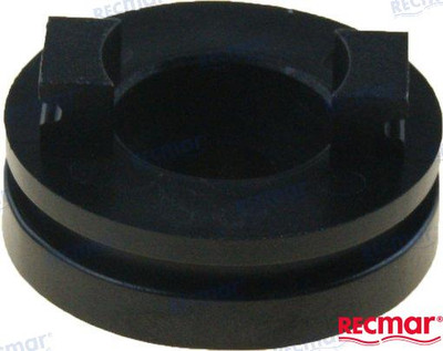 PLATE (REC65N-45321-00)