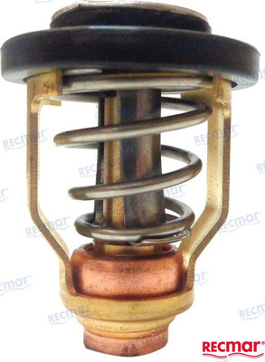 THERMOSTAT (REC67F-12411-01)