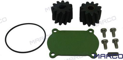 KIT CVR PUMP AND GEARS (GS20166)