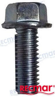 SCREW (REC10-865982005)