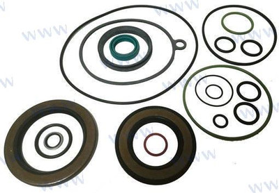 GASKET KIT MS4 (REC876073)