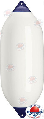 FNDR F13 WHT (SCAFA13) FNDR F13 WHT (SCAFA13)