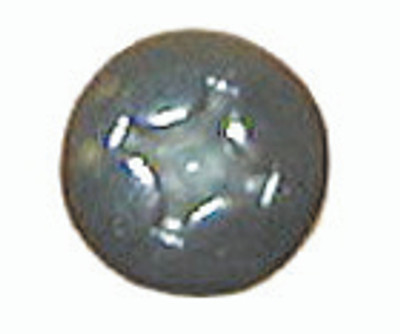 6 X 3/4 Ss Phil Oval Tap Screw by Marine Fasteners (06N075POSS-578)