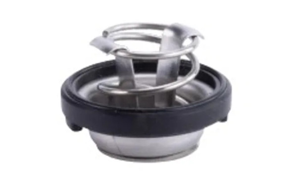 Valve, Water Pressure by Sea Star Solutions (118-3685)