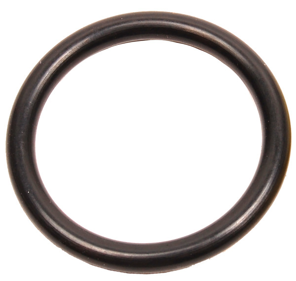 O Ring by BRP (303360)