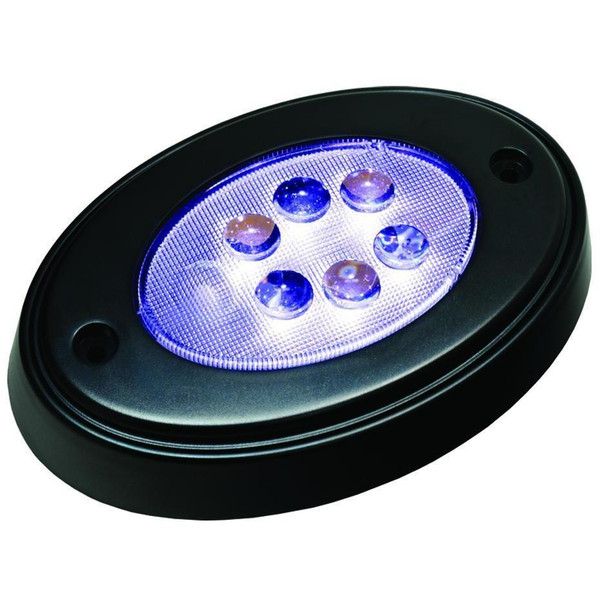 6 Led Oval Courtesy Light - Black by TH Marine (LED-OCL-1K-DP)