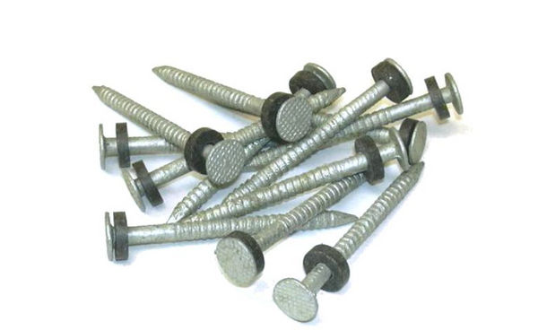 Galvin. #6 Nail W/Washer 1/8 Lb Pk (Dock Extrusion) by Taylormade (96028)