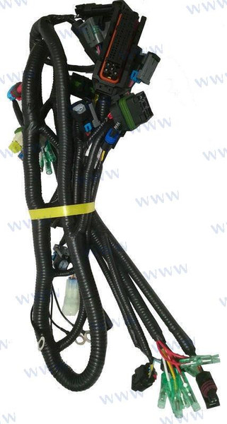 WIRING HARNESS, ECU CONTROL (PAF60-05000900)