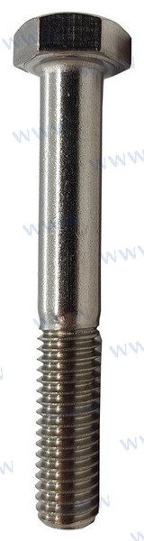 BOLT  HEXAGON M8X55 (PAGB/T5783-M8X55)