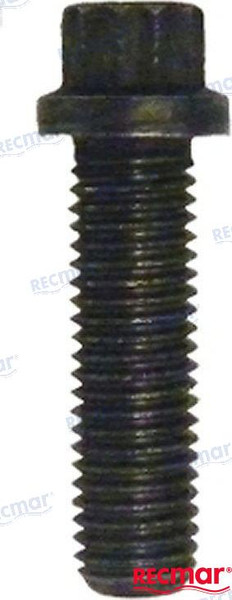 BOLT (REC10-91012)