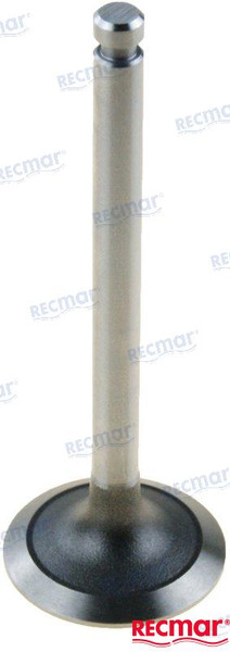 INTAKE VALVE (REC129005-11100)