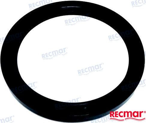 REAR SEAL RING (REC860971)
