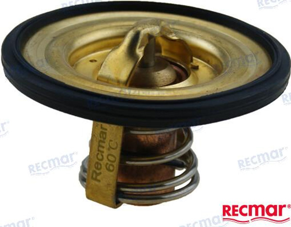 THERMOSTAT KIT (REC875796) THERMOSTAT KIT (REC875796)