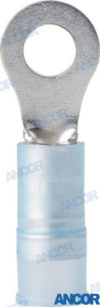 RING TERMS (AM230212)