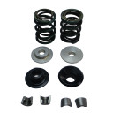 36lb Dual Valve Spring Set with Hardware, Flathead