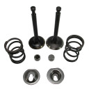 Stock Appearing Big Valve & Spring Package 6.5 Chinese OHV Predator 212 Hemi