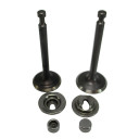 Stock Replacement Predator 212 Hemi Valves (27mm/25mm)