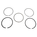 Predator 301cc Piston Rings