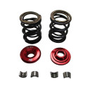 268-50-32 5mm Billet Aluminum Retainer Kit with 32lbs Dual Springs