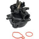 Carburetor Fits Briggs & Stratton 799584