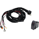 Wire Harness with Single Deutsch Connector with Large Rocker Switch