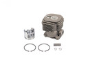 Cylinder/Piston Assembly Replaces