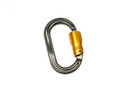 Dmm Americano Locksafe Ansi Carabiner