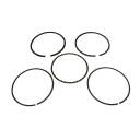 Honda OEM 13012-Z0T-801 RING SET (0.50)