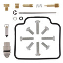 Carburetor Rebuild Kit 