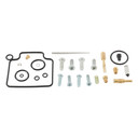 Carburetor Rebuild Kit 