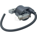 Ignition Coil Ign Coil
