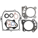 Gasket Set Briggs & Stratton 595350