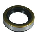 Oil Seal Briggs & Stratton 391483S