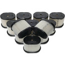 Air Filter Shop Pack Briggs & Stratton 697029