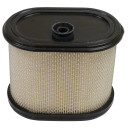 Air Filter Briggs & Stratton 695302