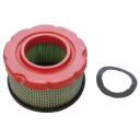 Air Filter Briggs & Stratton 797819