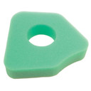 Air Filter Briggs & Stratton 794071
