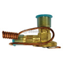 Expansion Valve Kubota T1065-72170