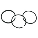 Piston Rings STD Briggs & Stratton 298982